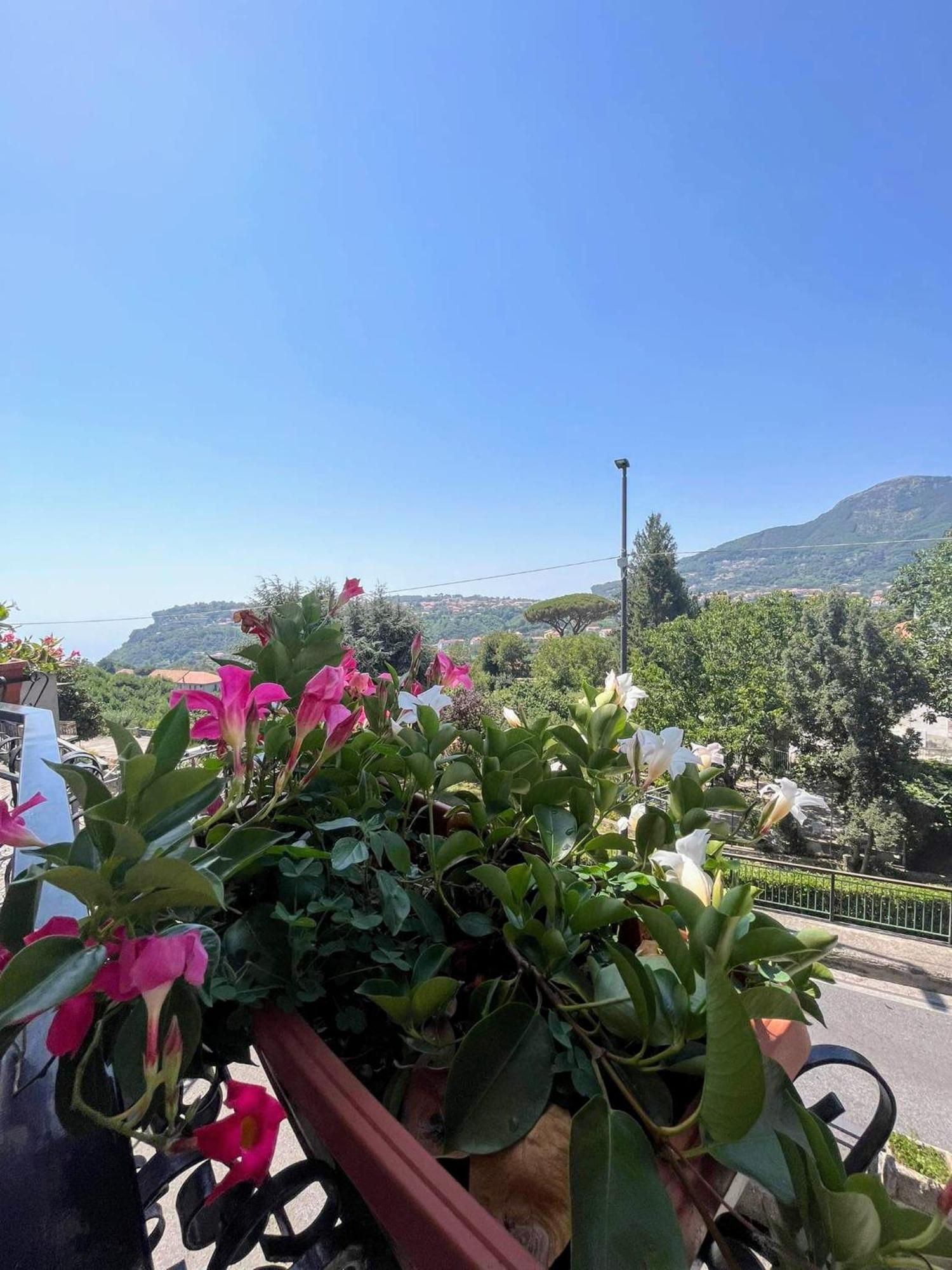 아제롤라 Il Borgo B&B 객실 사진